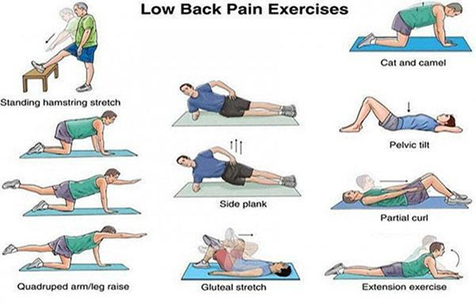 low-back-pain-exercises