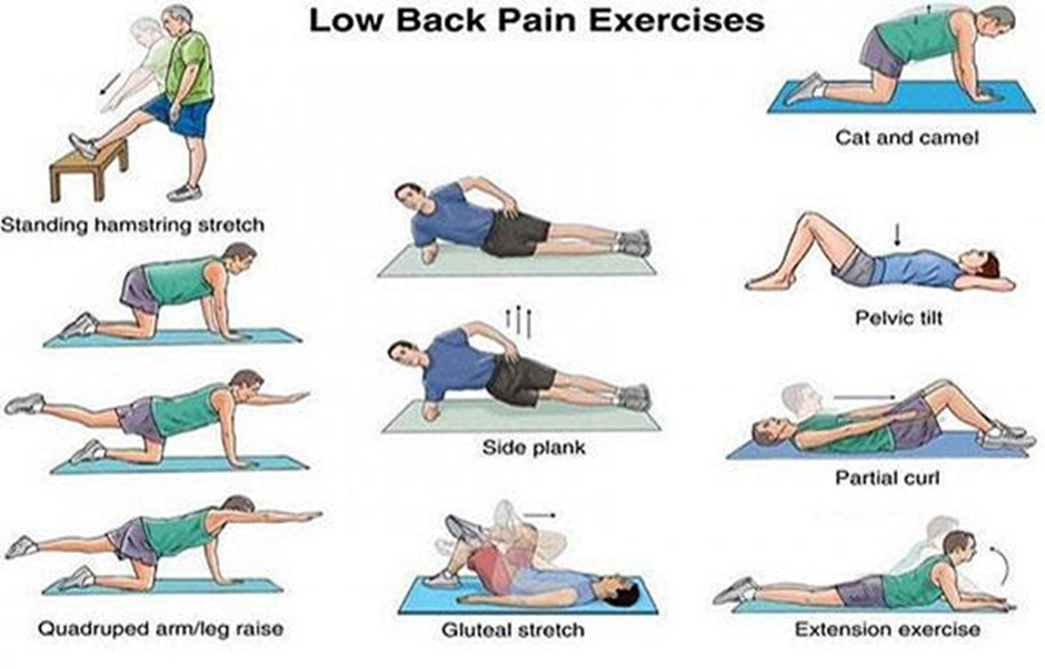 Dignity Health  Low Back Pain Exercises and Tips to Help