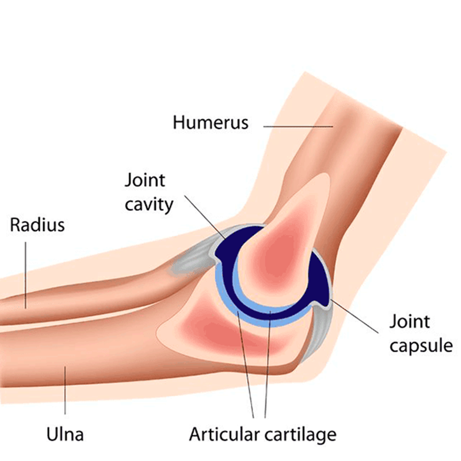 elements-of-elbow-arthroscopy-diagram