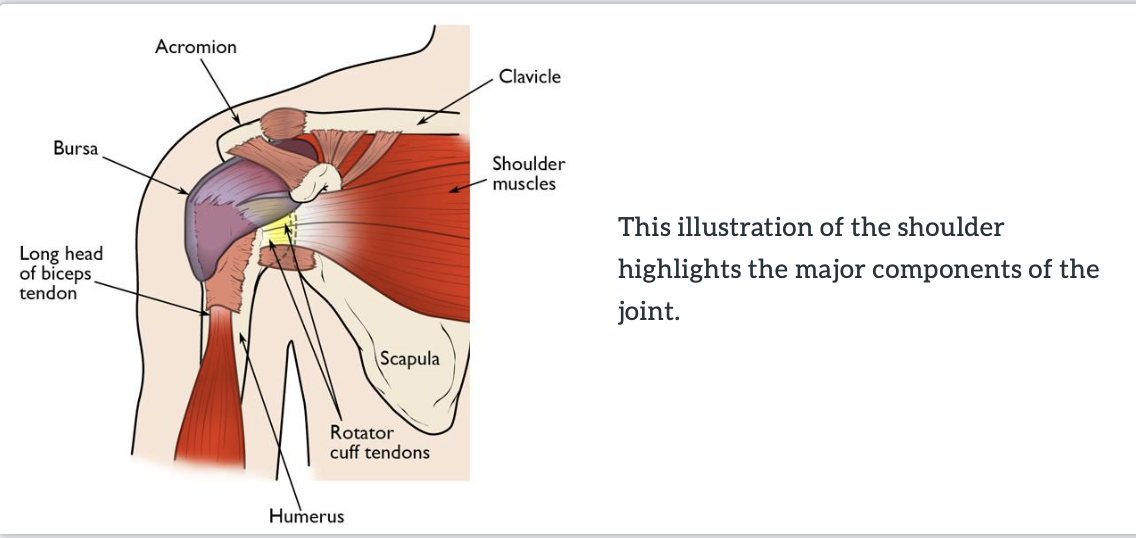 Shoulder Pain Diagnosis Chart, SPORT Orthopedics