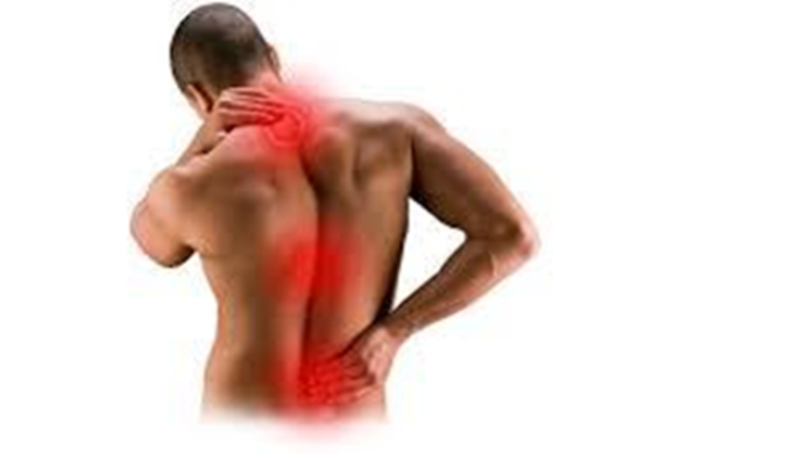 back and body chiropractic